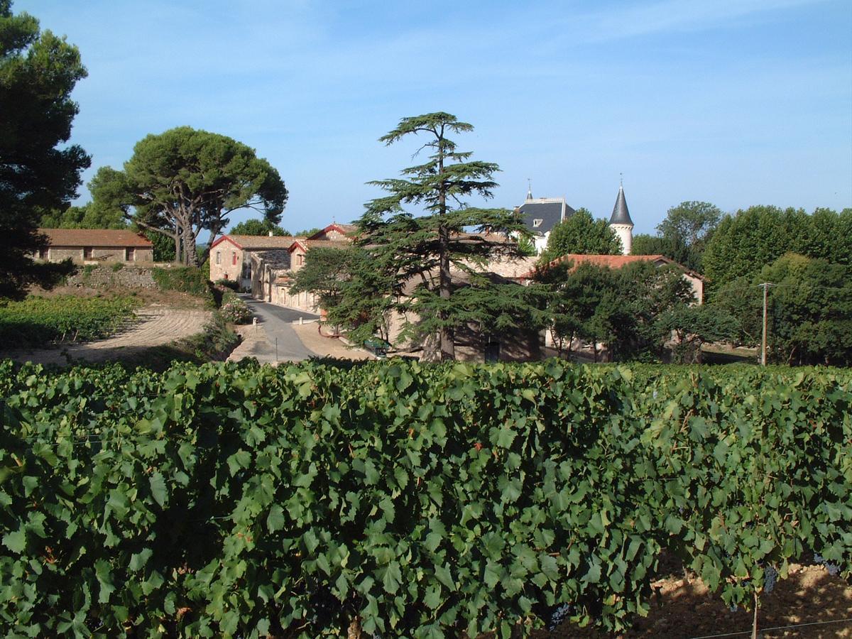 Chateau Saint Martin De Graves Aumes Exterior photo